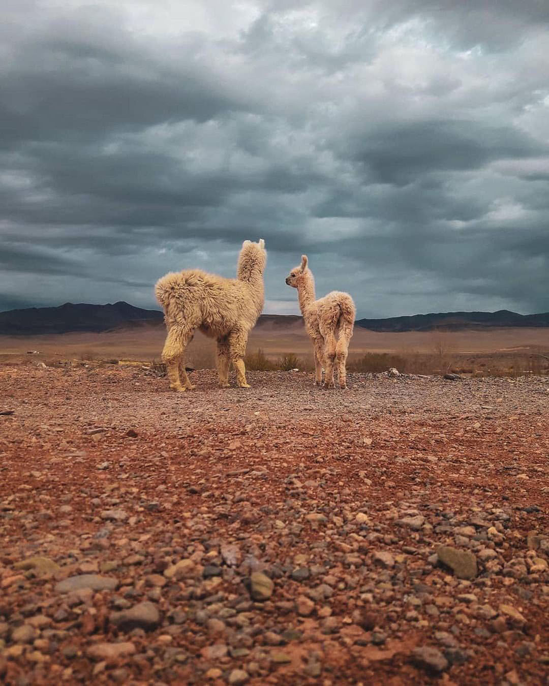 Достопримечательности Аргентины. 23 самых красивых места Аргентины