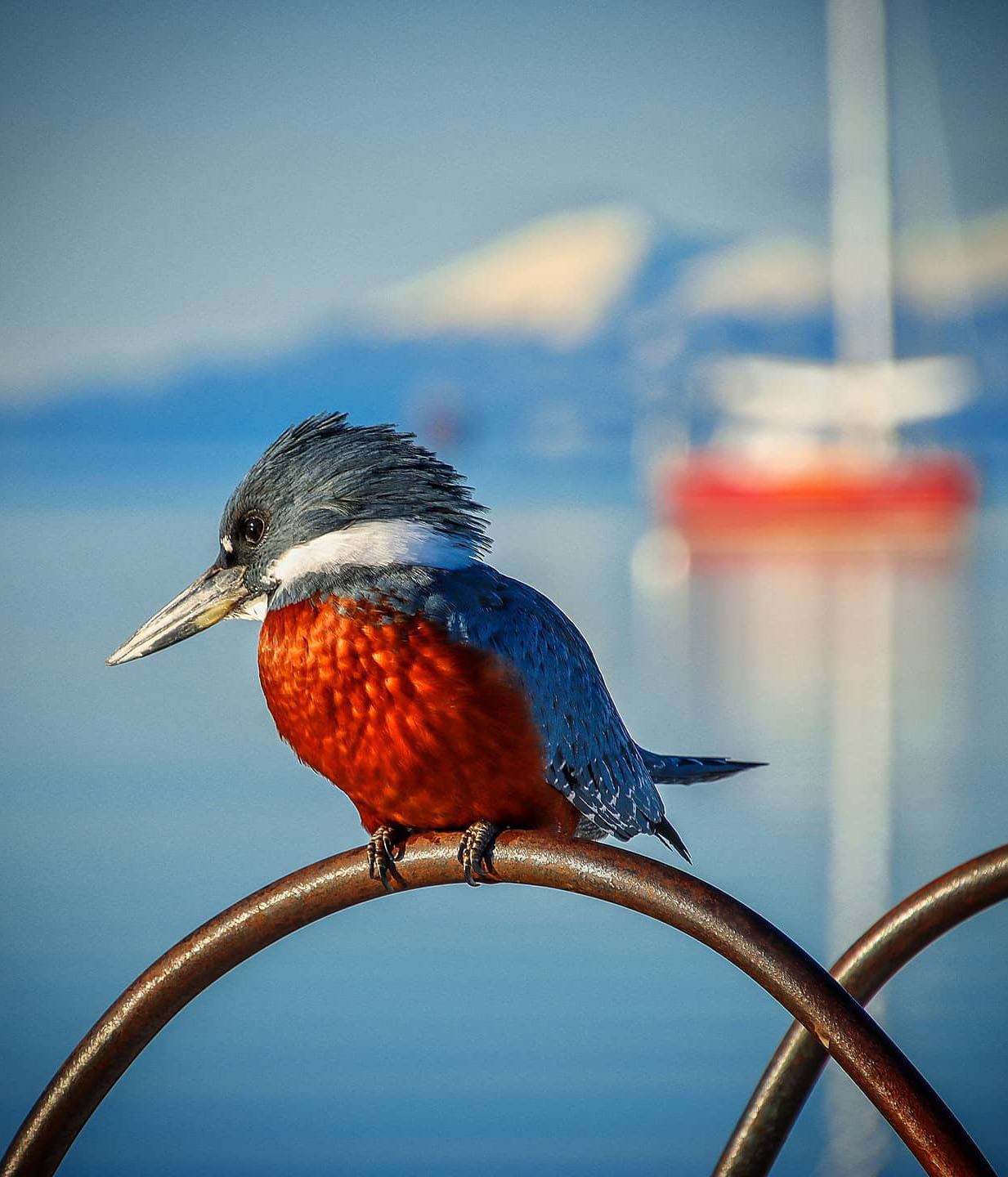 Ушуая — там, где кончается Земля. Аргентина