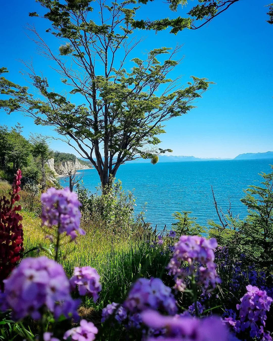 Ушуая — там, где кончается Земля. Аргентина