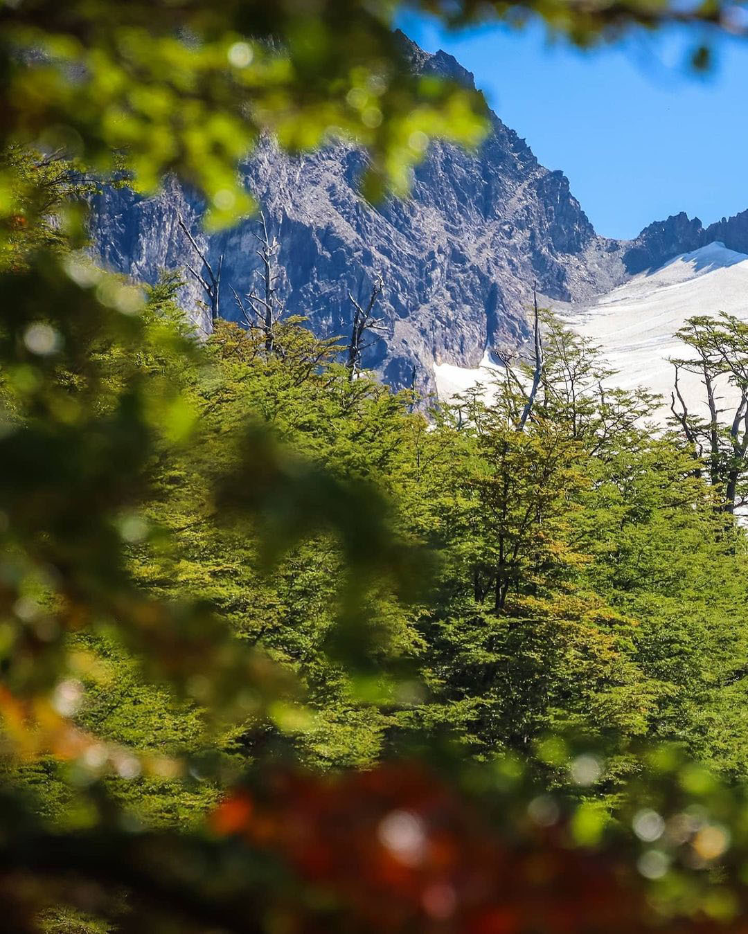 Ушуая — там, где кончается Земля. Аргентина