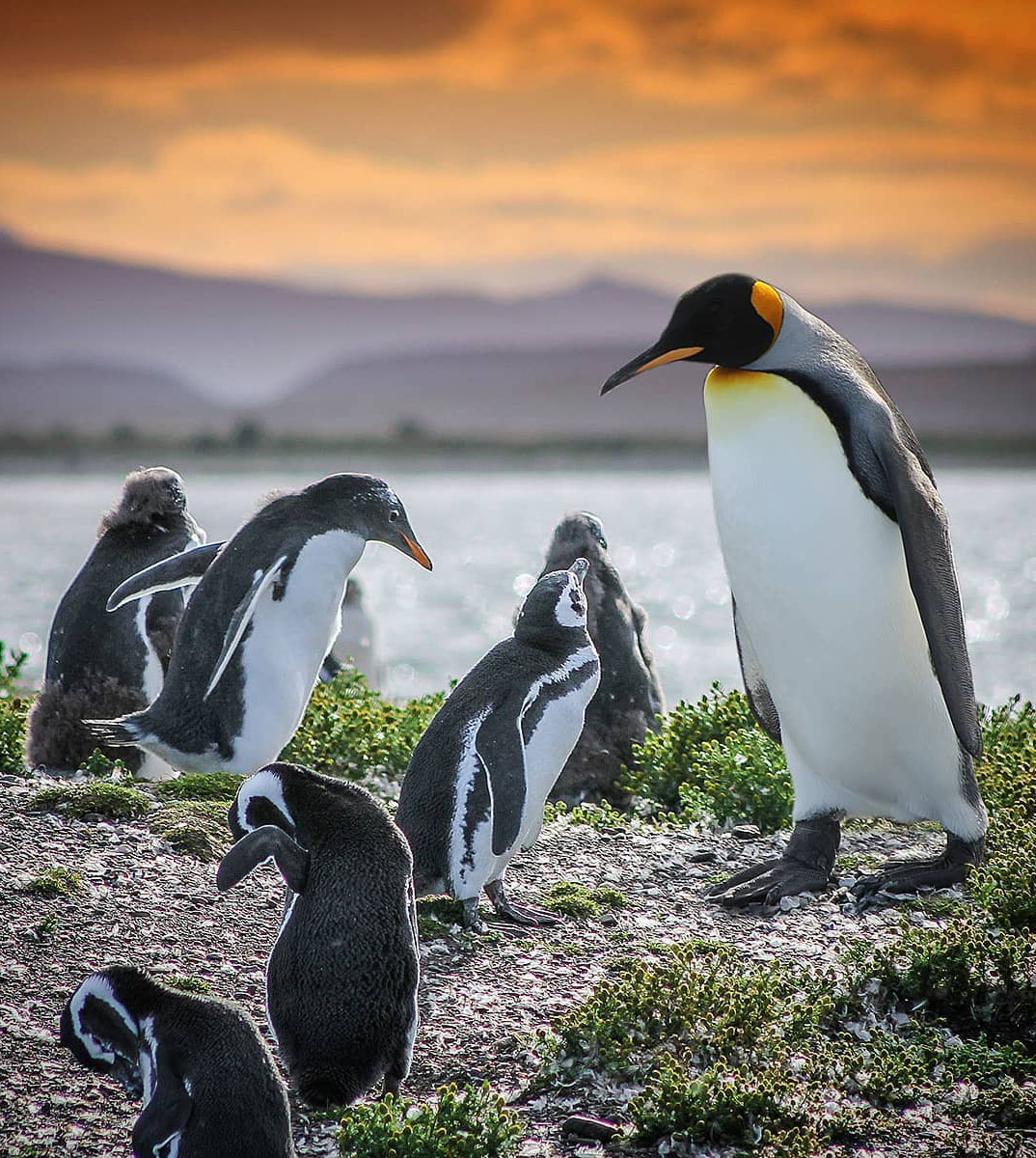 Ушуая — там, где кончается Земля. Аргентина