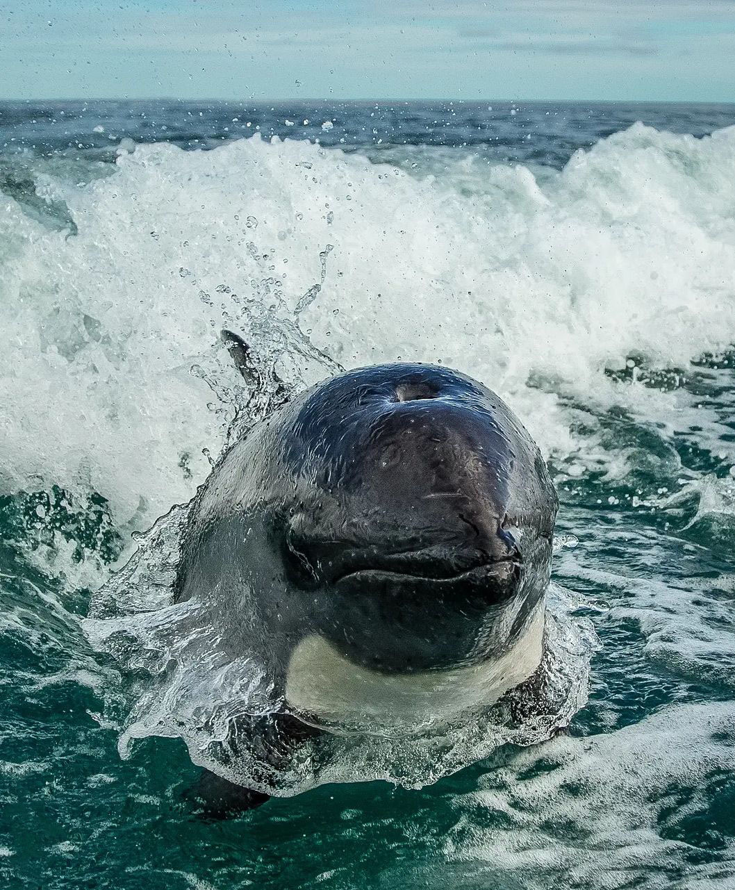 Ушуая — там, где кончается Земля. Аргентина