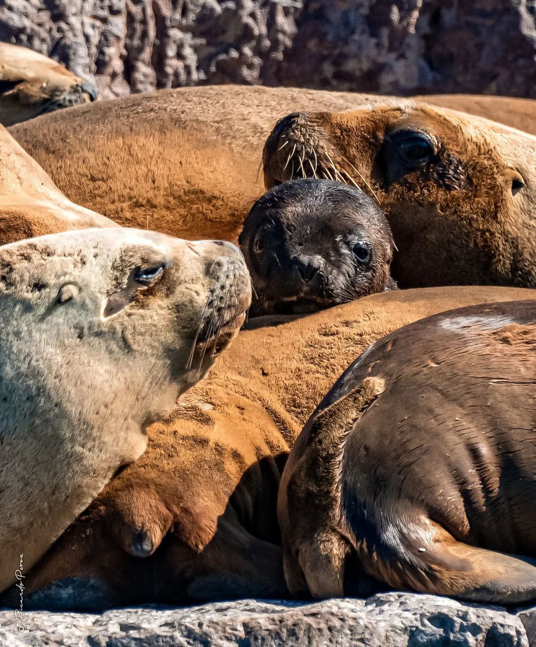 Ушуая — там, где кончается Земля. Аргентина