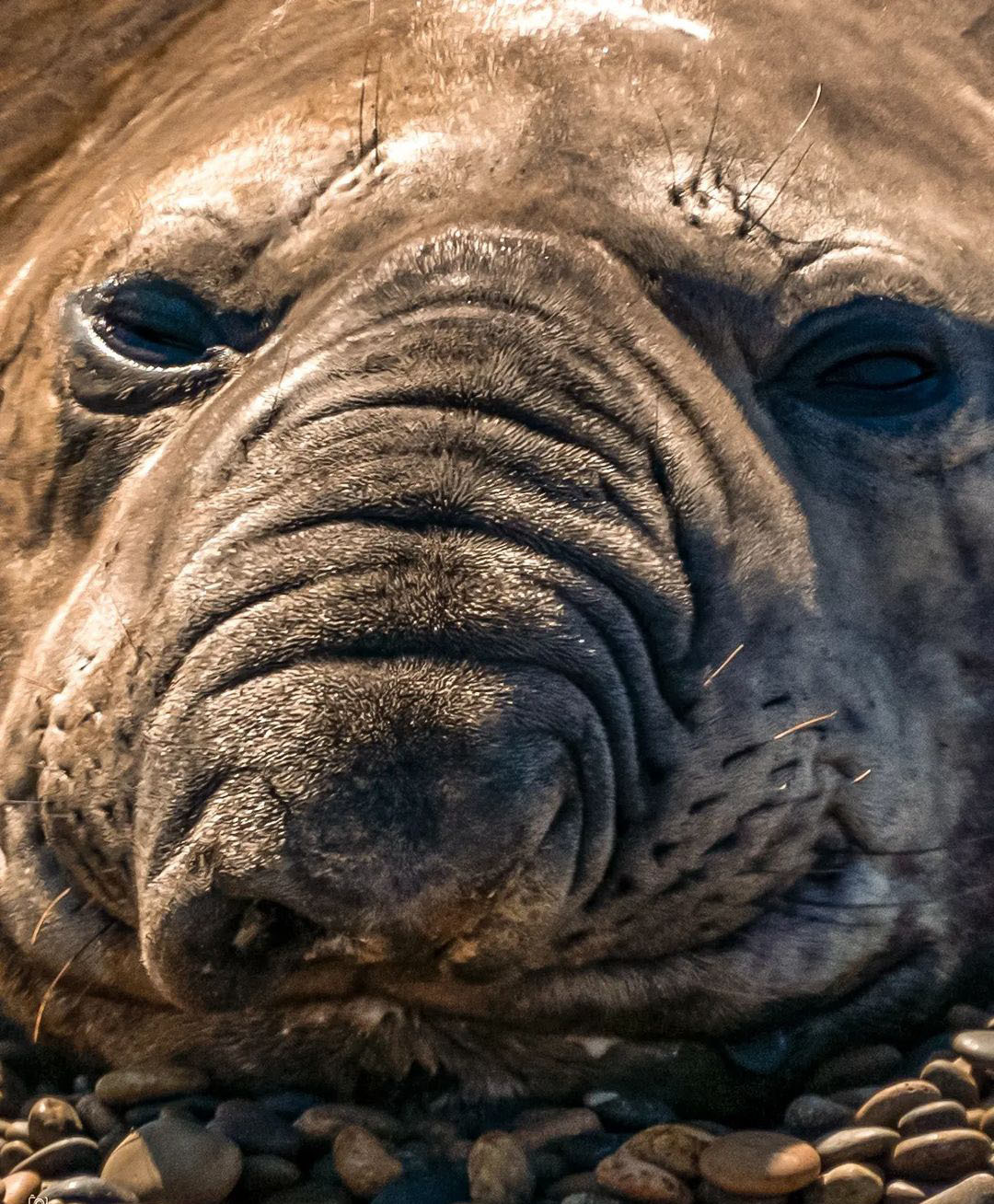 Ушуая — там, где кончается Земля. Аргентина