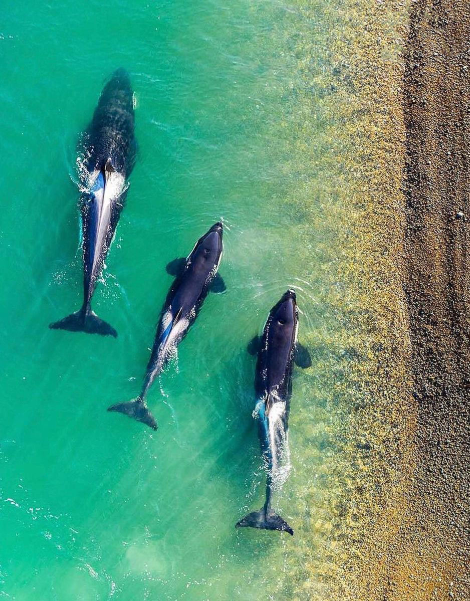 10 самых красивых мест Патагонии