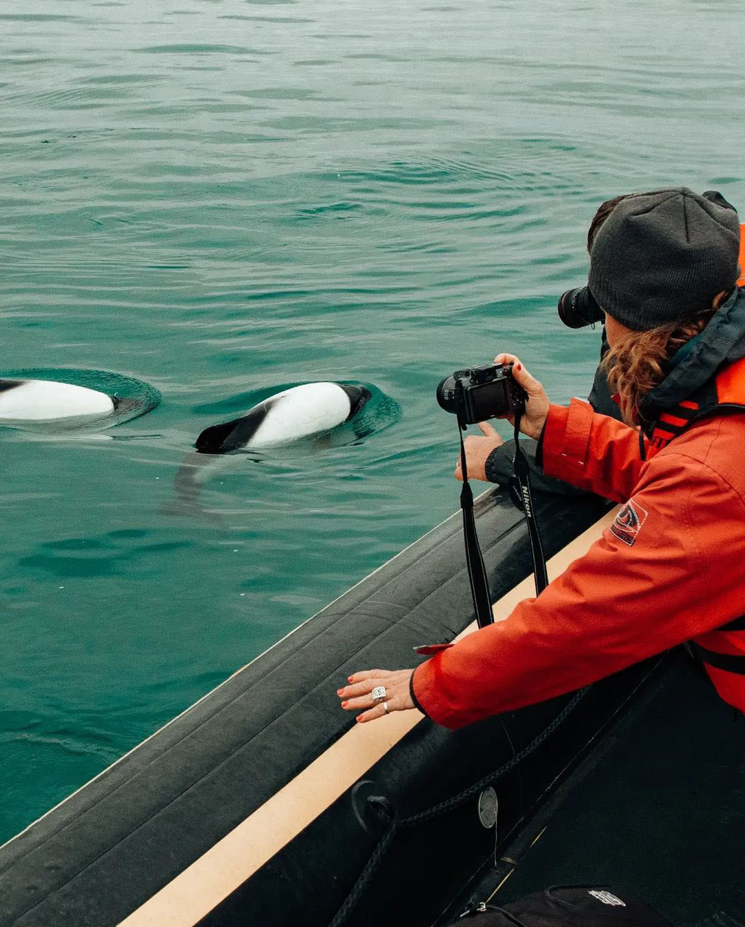 10 самых красивых мест Патагонии