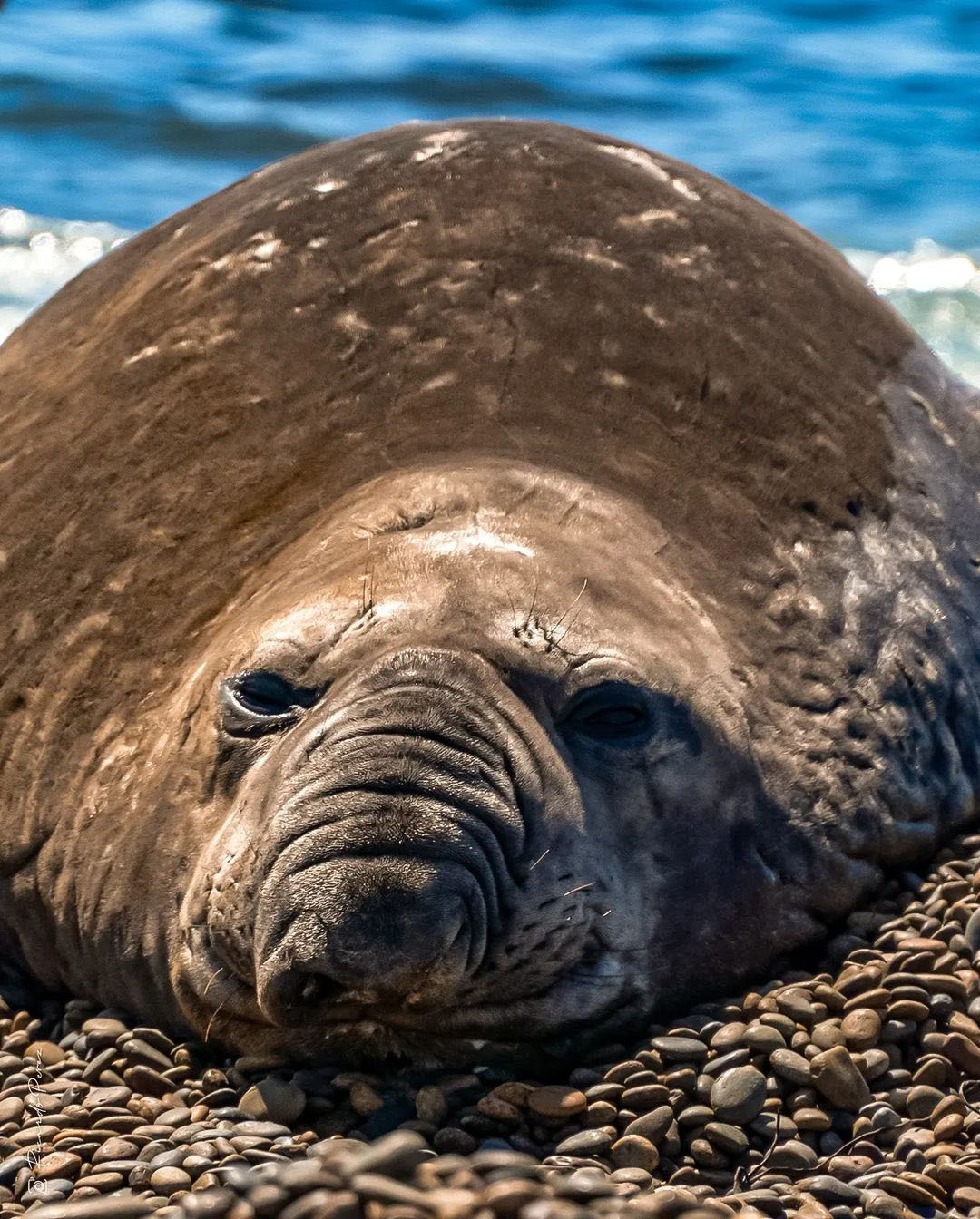 10 самых красивых мест Патагонии