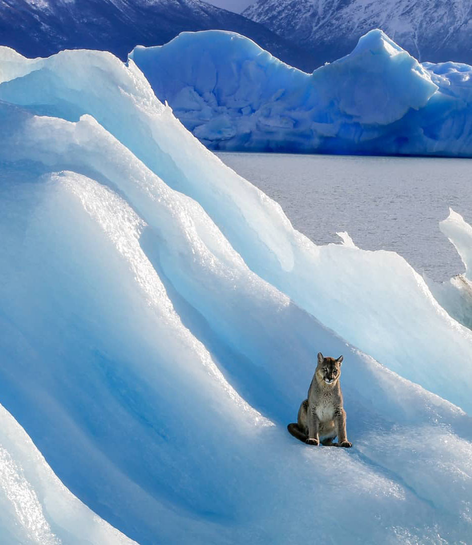 10 самых красивых мест Патагонии