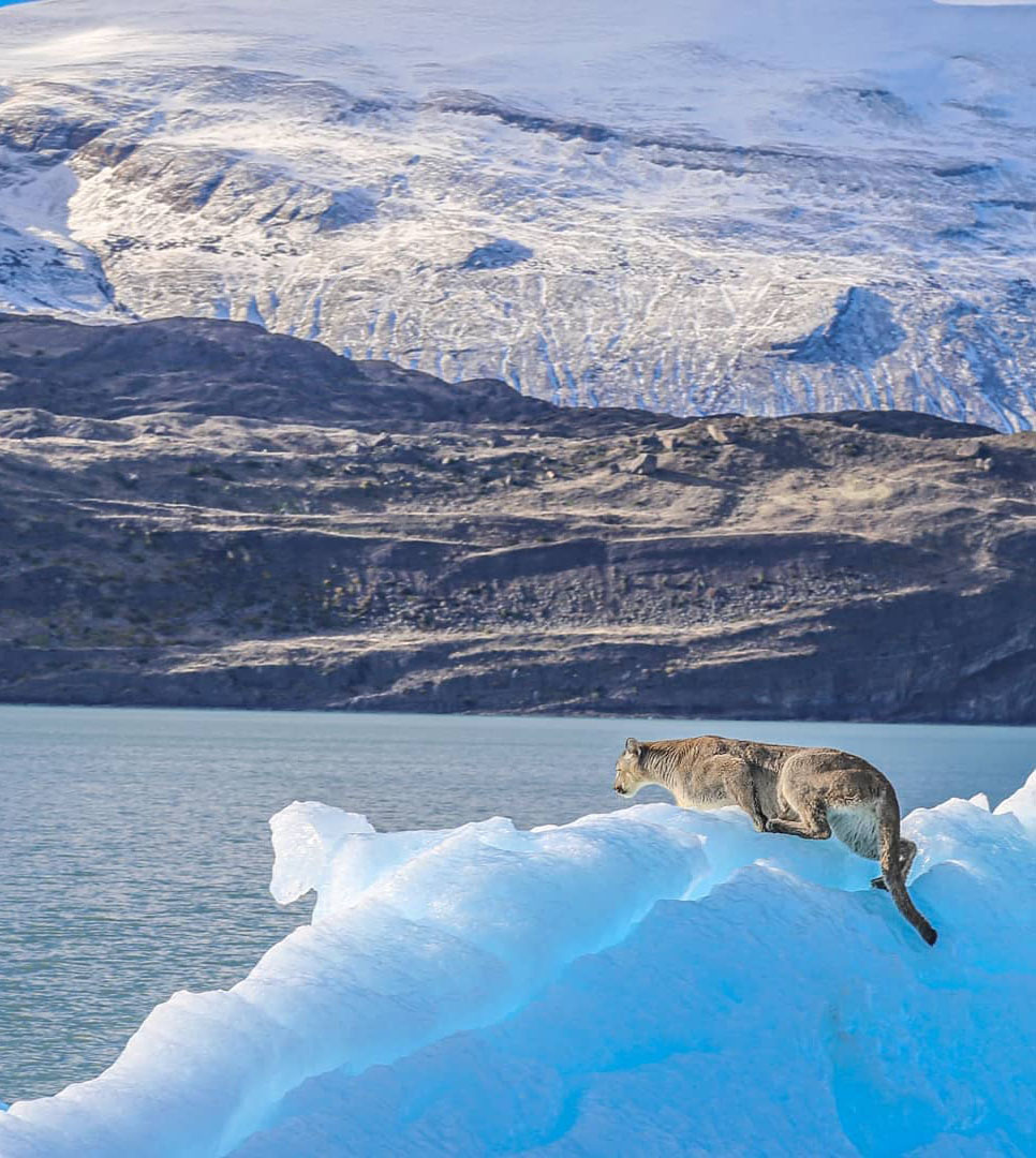 10 самых красивых мест Патагонии