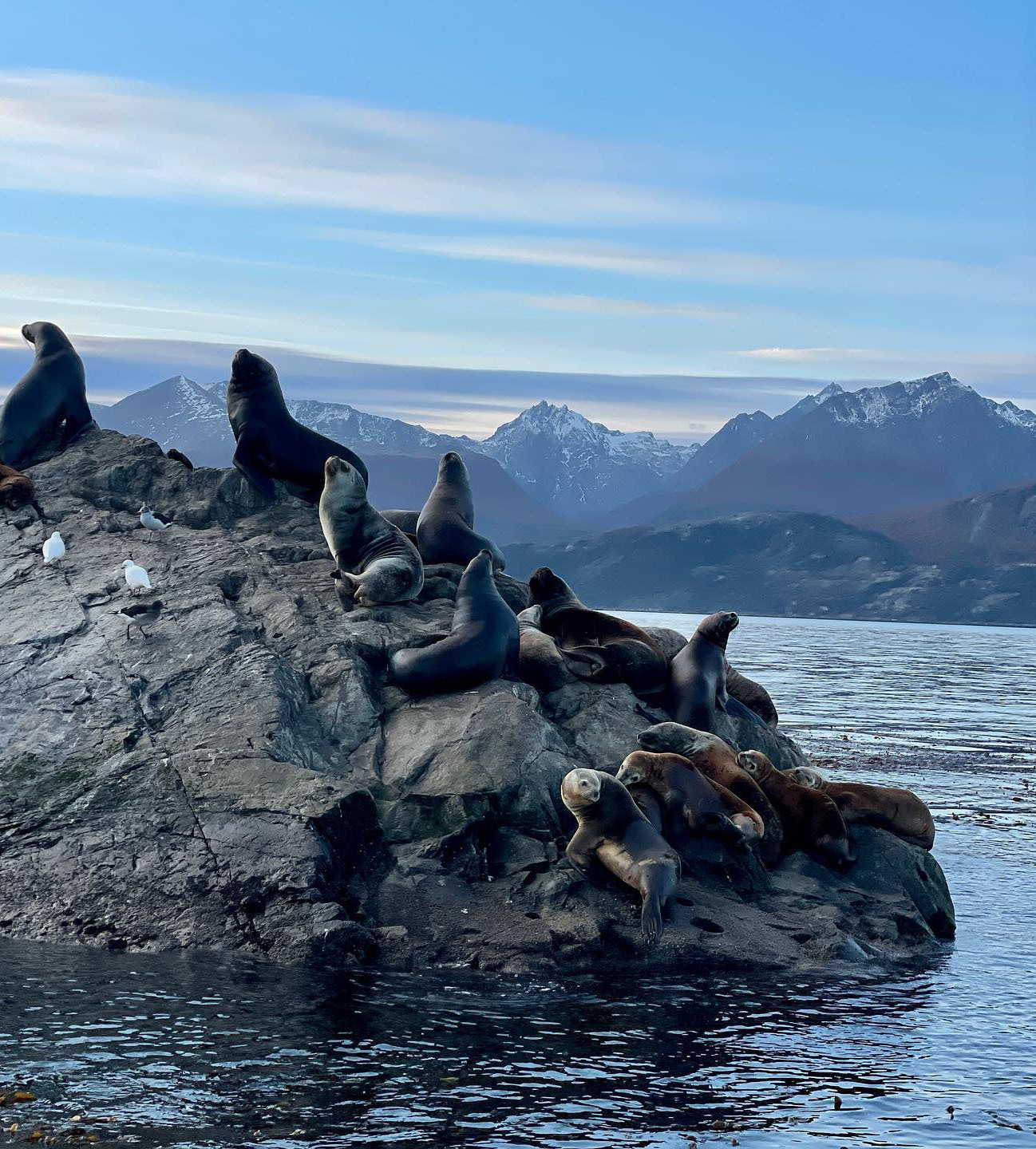 10 самых красивых мест Патагонии