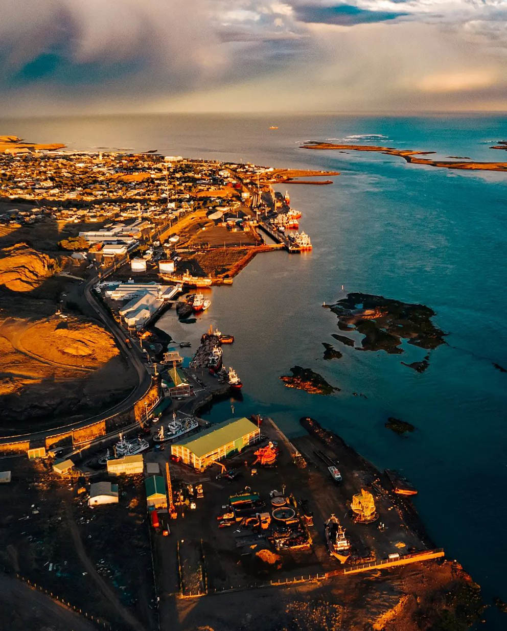 Остров Пингвинов у берегов Аргентины