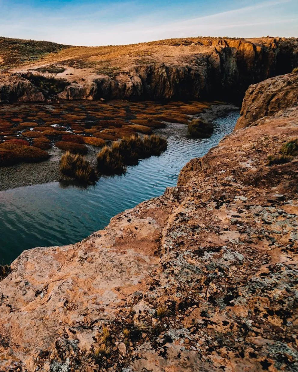 Остров Пингвинов у берегов Аргентины