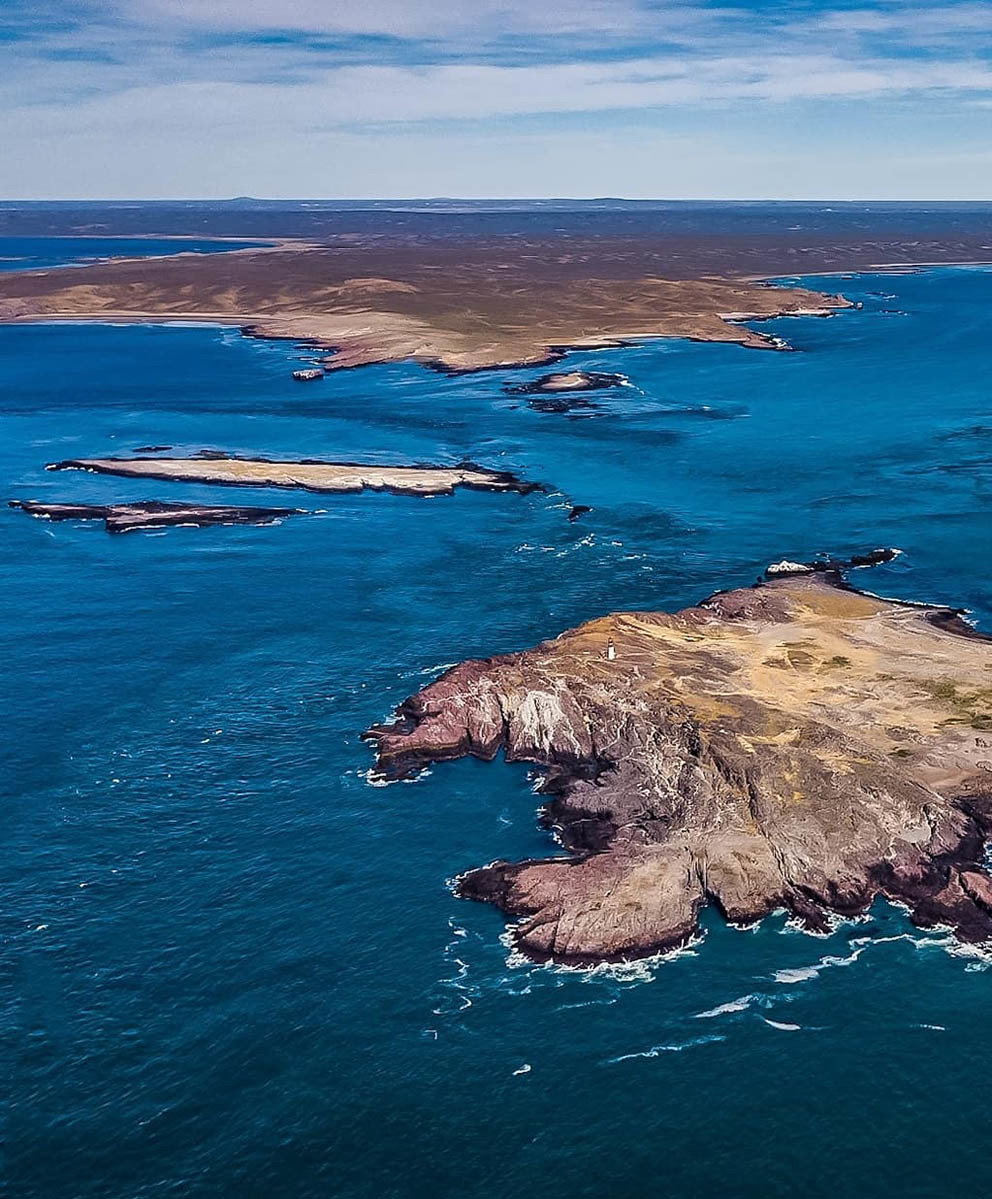 Остров Пингвинов у берегов Аргентины