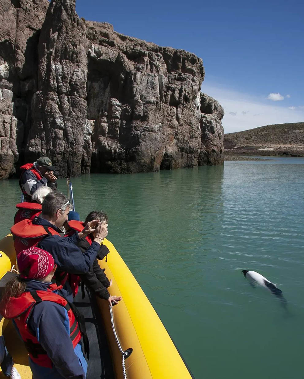 Остров Пингвинов у берегов Аргентины