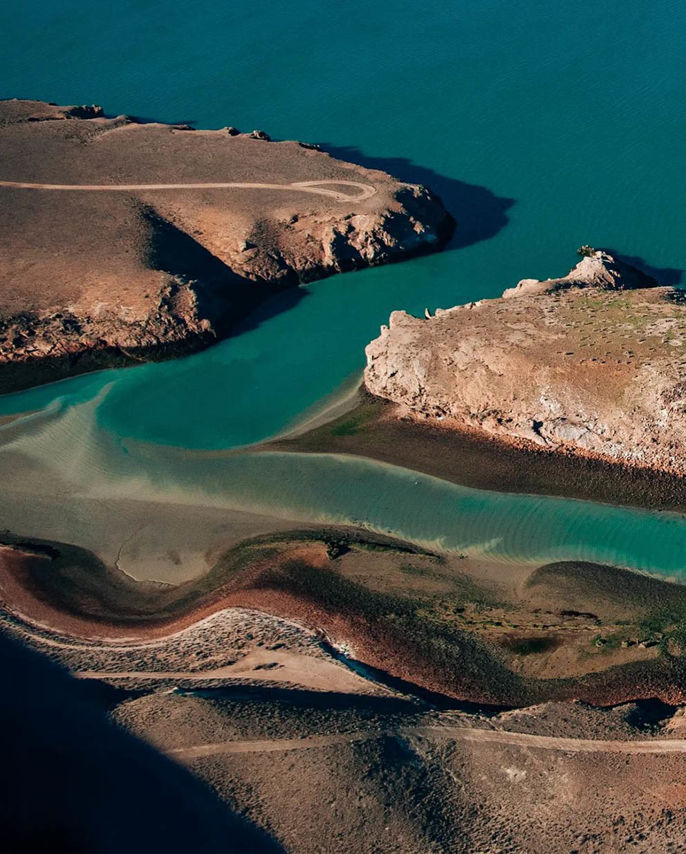 Остров Пингвинов у берегов Аргентины