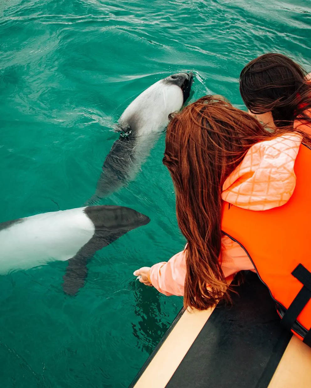 Остров Пингвинов у берегов Аргентины