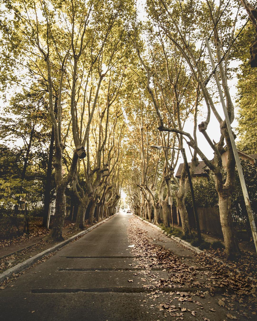 Вилла Аргентина — баррио для работников пивоварни Quilmes