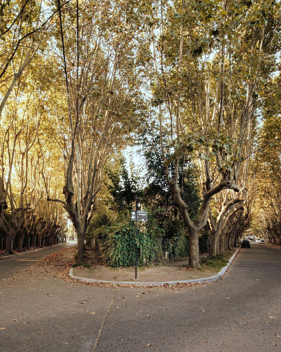 Вилла Аргентина — баррио для работников пивоварни Quilmes