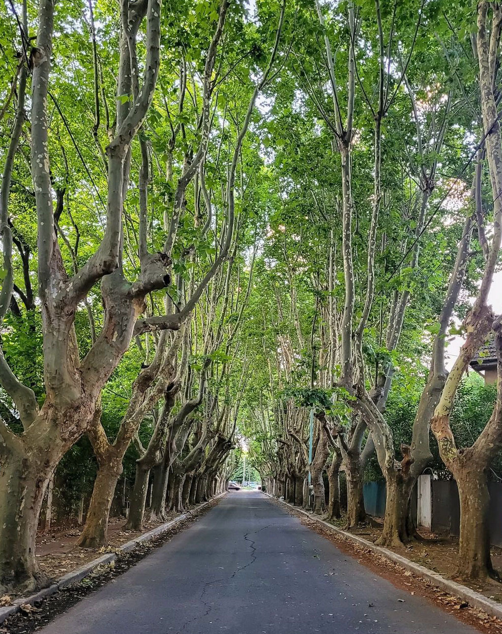 Вилла Аргентина — баррио для работников пивоварни Quilmes