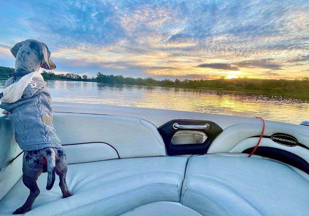 Самые важные реки Аргентины. Природа Аргентины