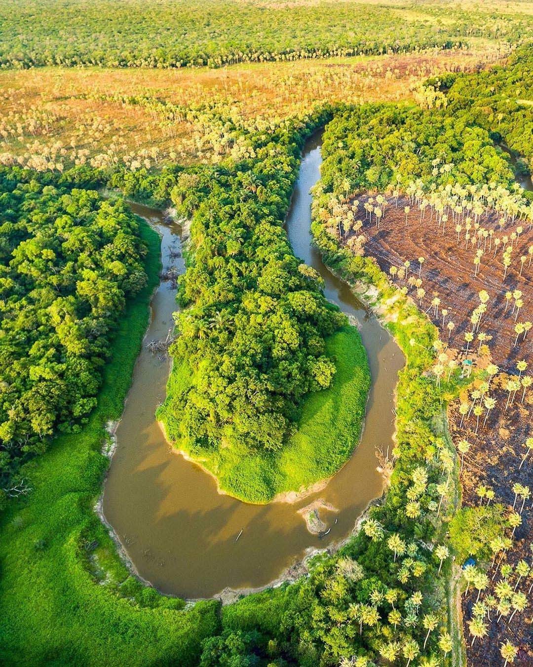 Самые важные реки Аргентины. Природа Аргентины
