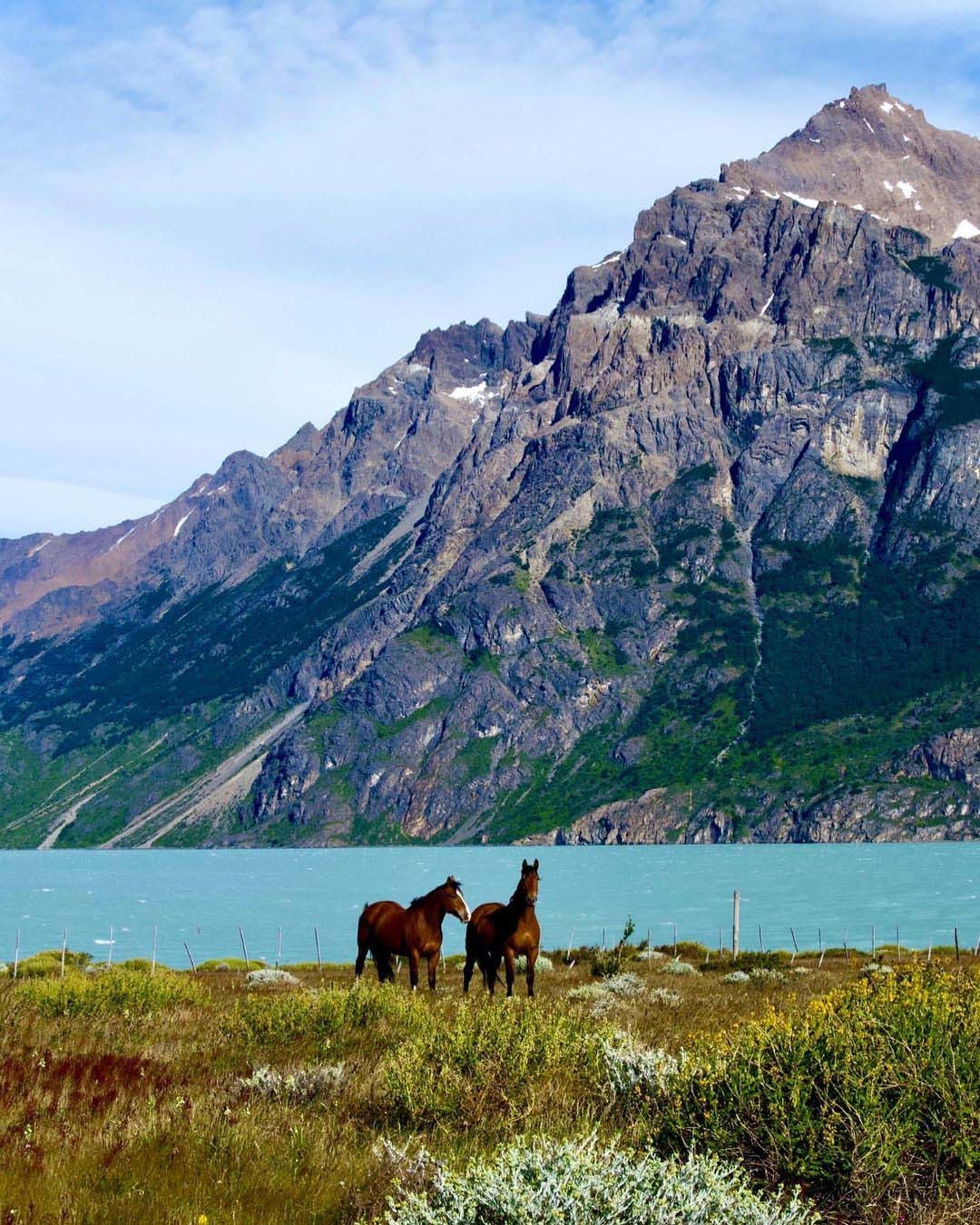 Озеро Архентино — самое большое в Патагонии