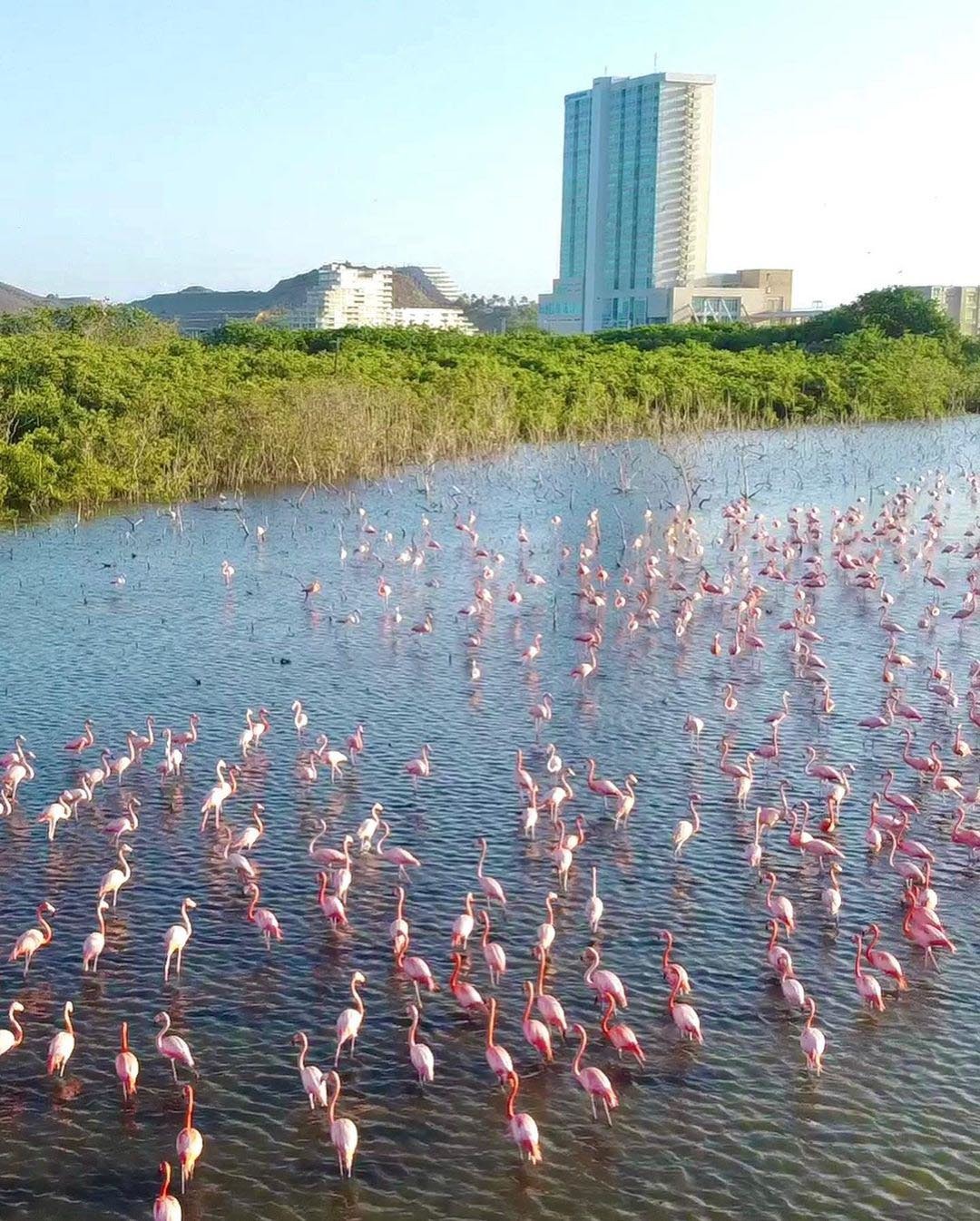 Остров Маргарита — рай для пенсионеров