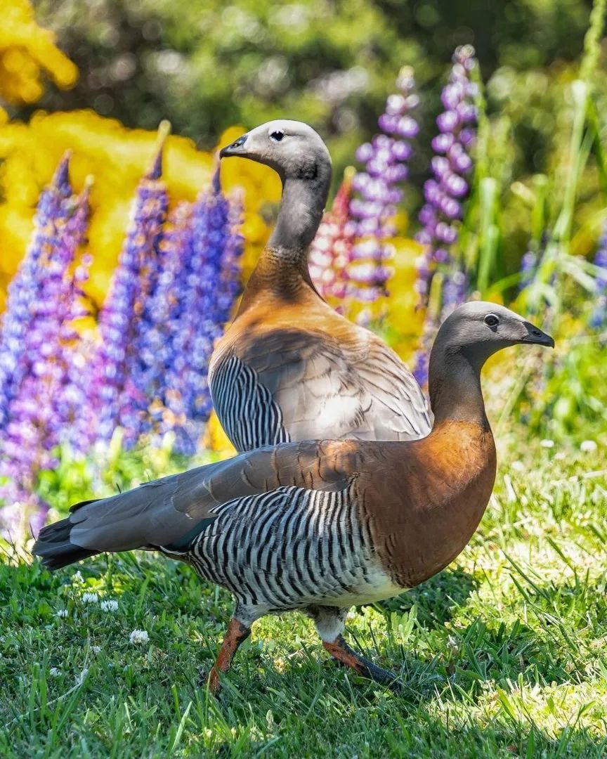 Сан-Карлос-де-Барилоче — столица приключенческого туризма Аргентины