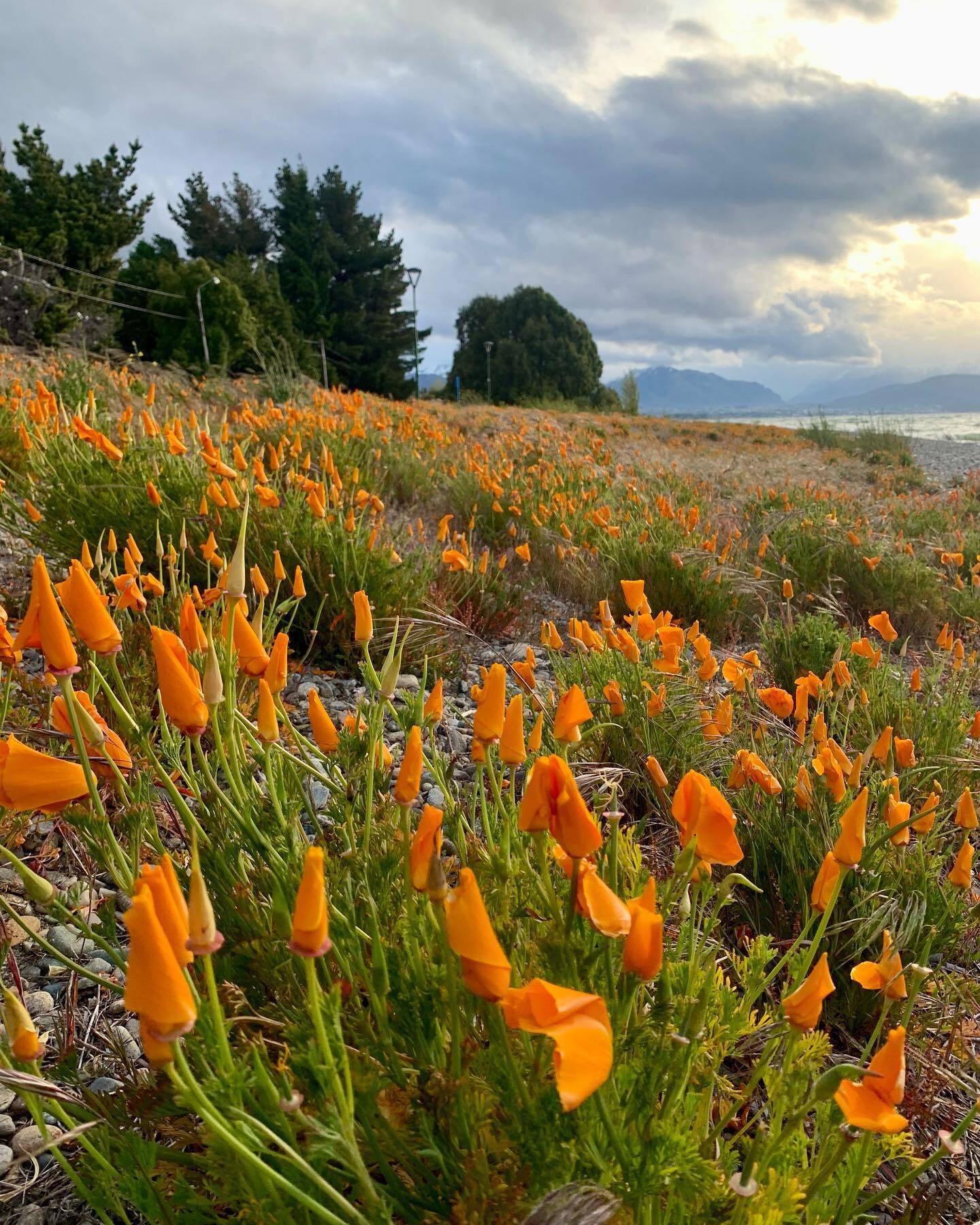 Сан-Карлос-де-Барилоче — столица приключенческого туризма Аргентины