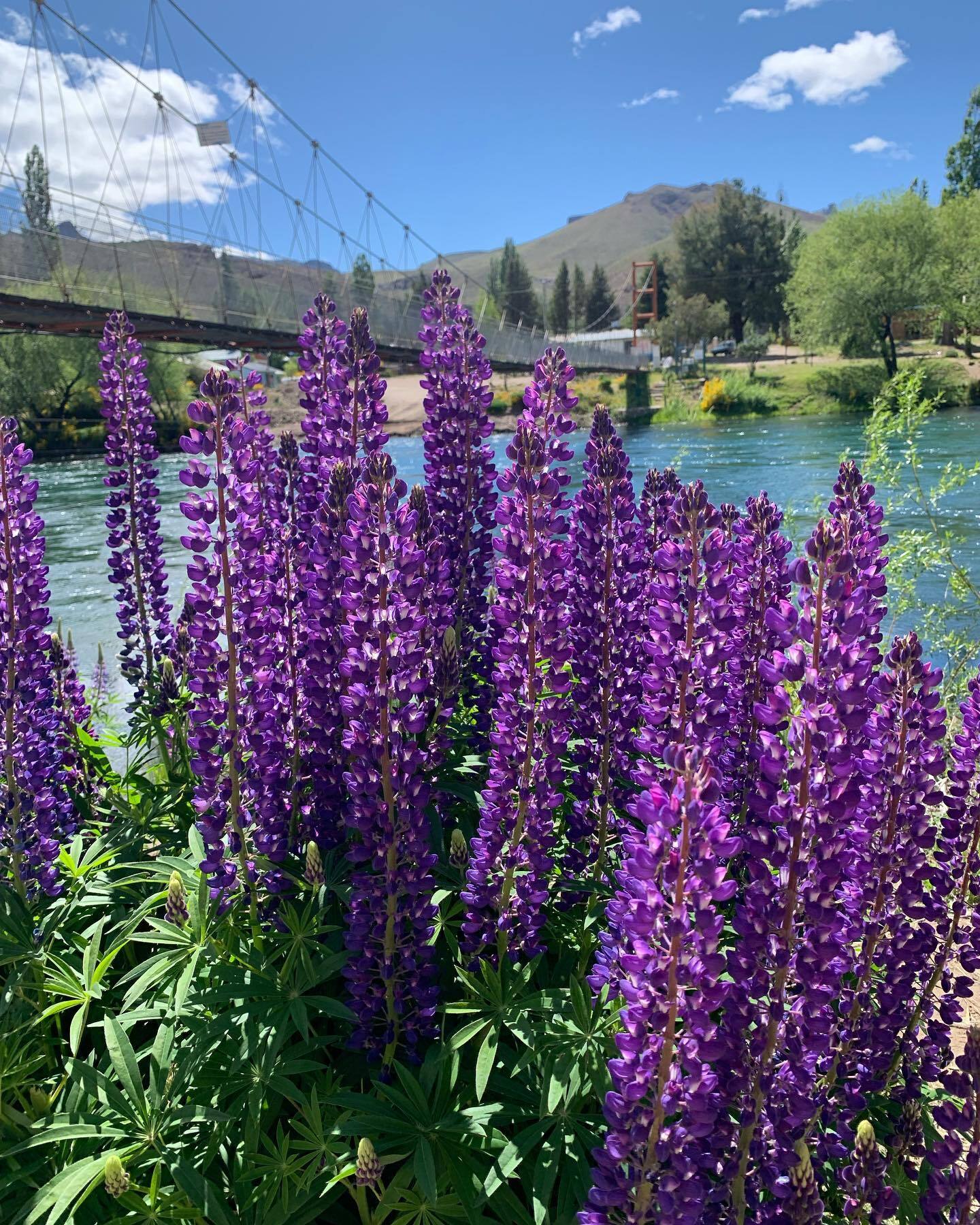 Сан-Карлос-де-Барилоче — столица приключенческого туризма Аргентины