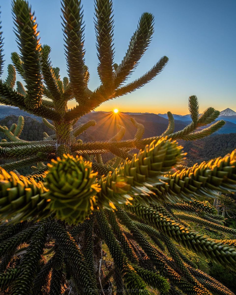 Сан-Карлос-де-Барилоче — столица приключенческого туризма Аргентины