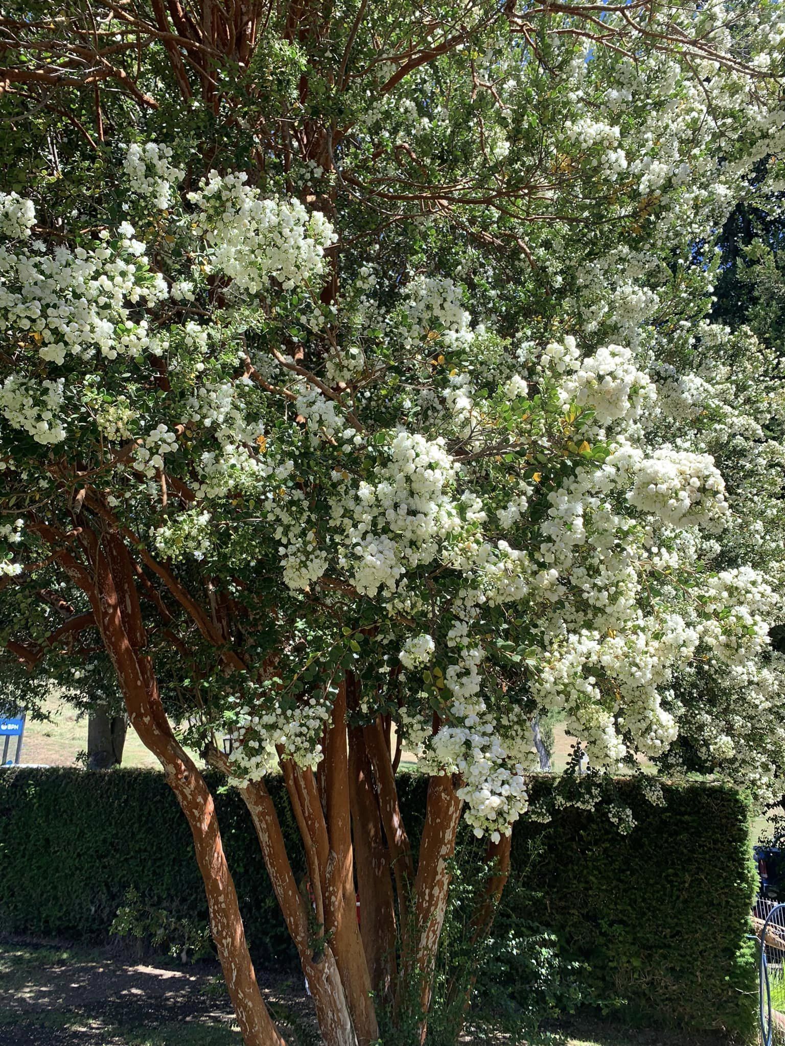 Сан-Карлос-де-Барилоче — столица приключенческого туризма Аргентины