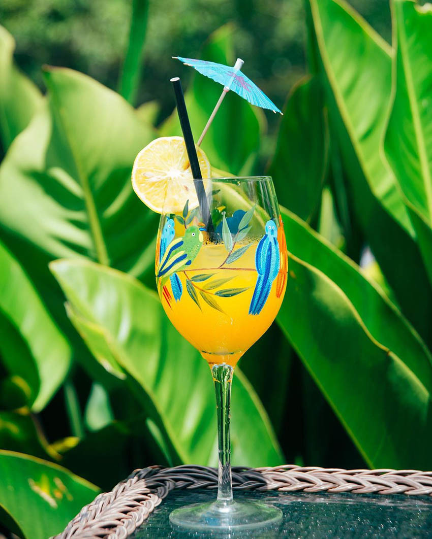 Тур в Венесуэлу: Национальный Парк Канайма