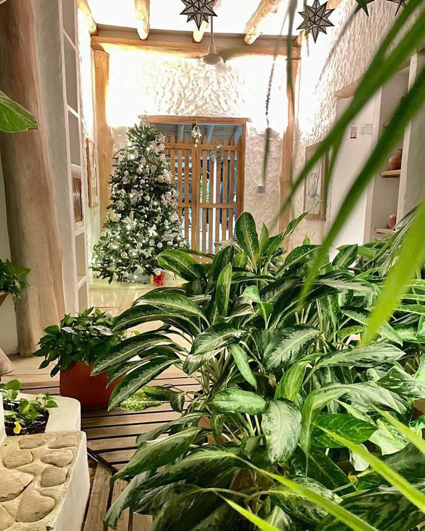 Тур в Венесуэлу на Архипелаг Лос-Рокес