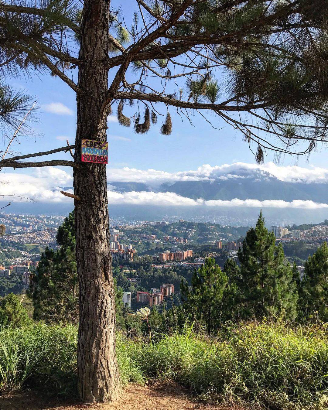 Тур в Венесуэлу из Москвы: Лос-Льянос — Канайма — о. Маргарита — Каракас