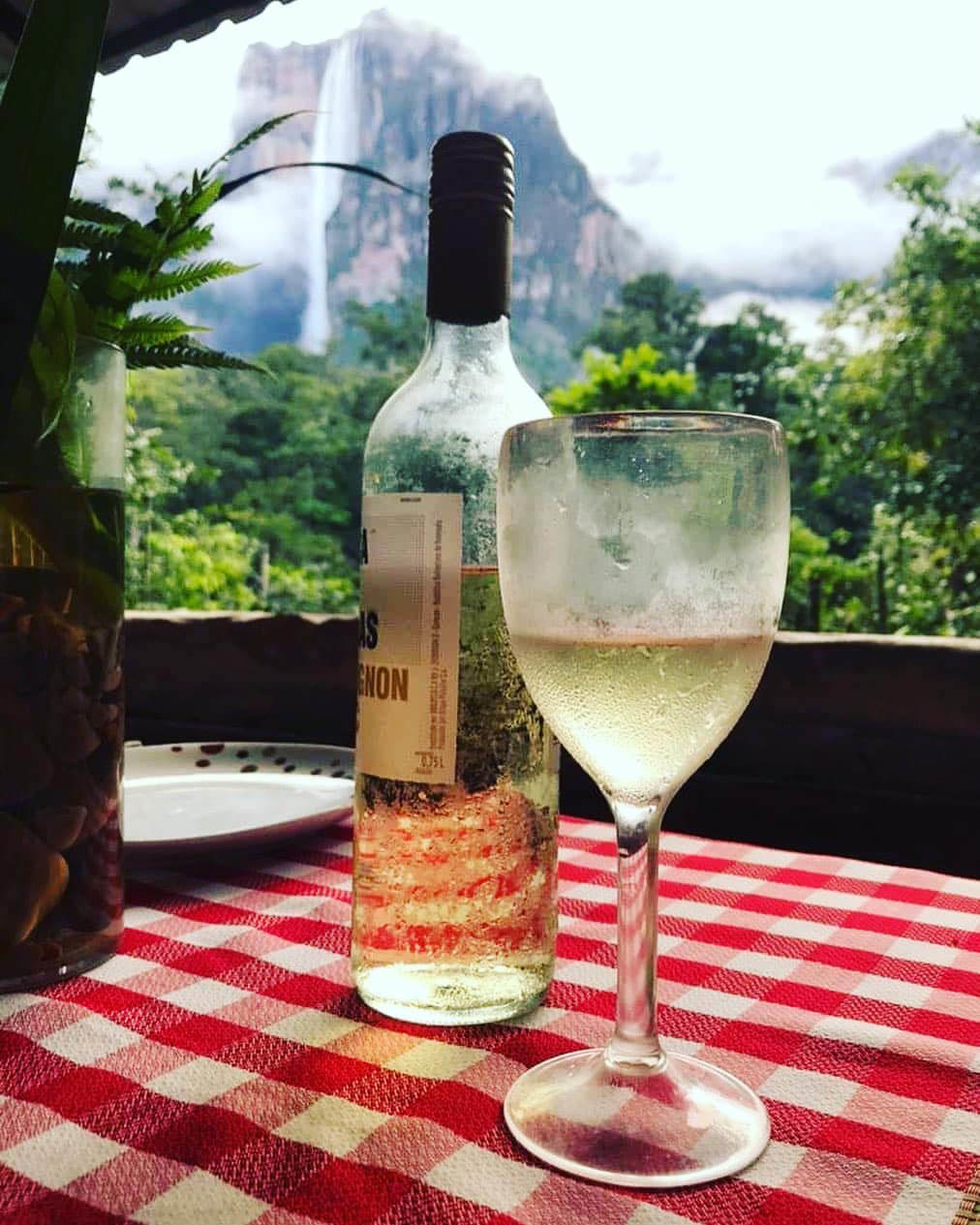 Тур в Венесуэлу из Москвы: Лос-Льянос — Канайма — о. Маргарита — Каракас