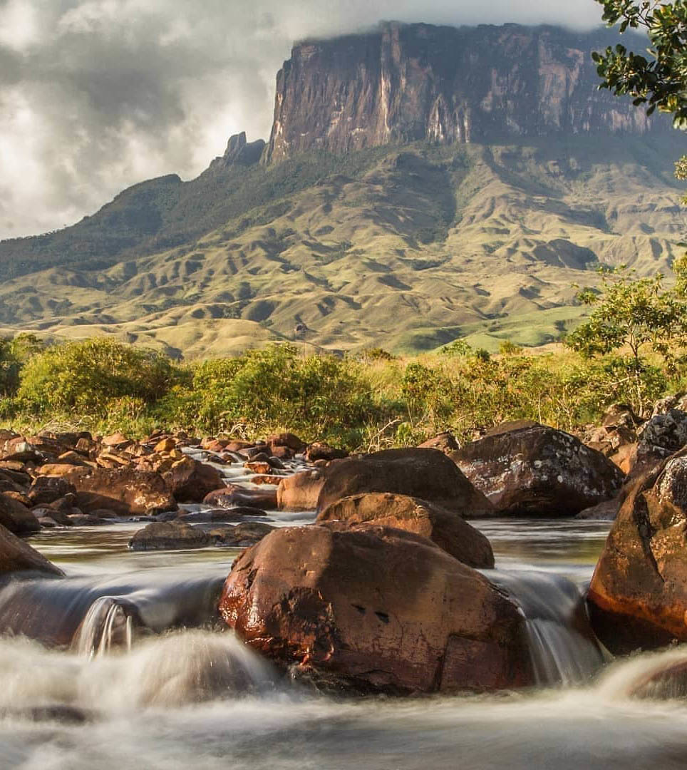 Тур в Венесуэлу из Москвы: Лос-Льянос — Канайма — о. Маргарита — Каракас