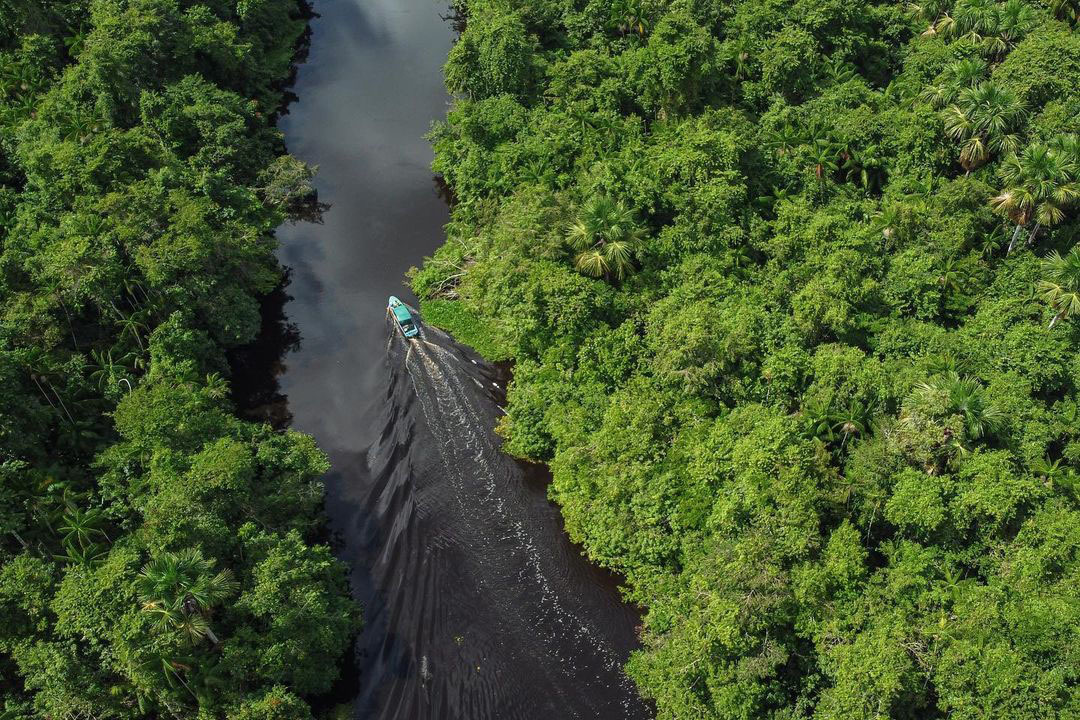 Тур в Национальный Парк Дельта Ориноко, Венесуэла