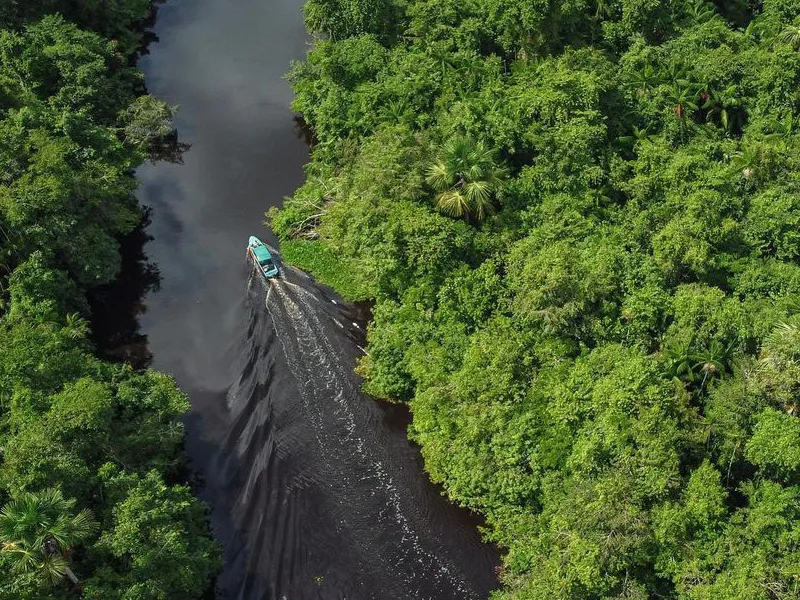 Тур в Национальный Парк Дельта Ориноко, Венесуэла