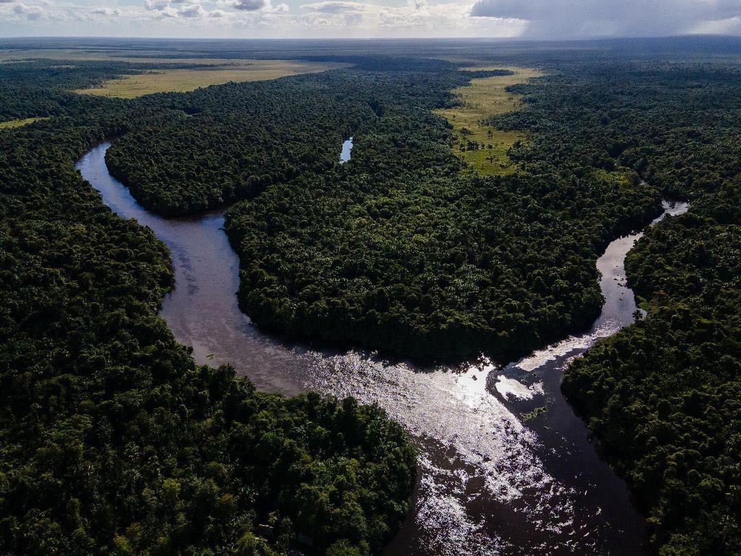 Тур в Национальный Парк Дельта Ориноко, Венесуэла