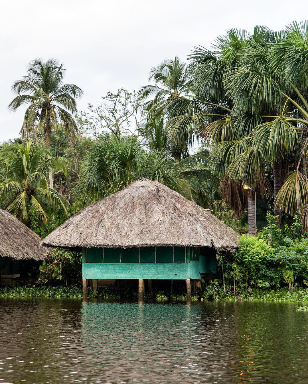 Тур в Национальный Парк Дельта Ориноко, Венесуэла