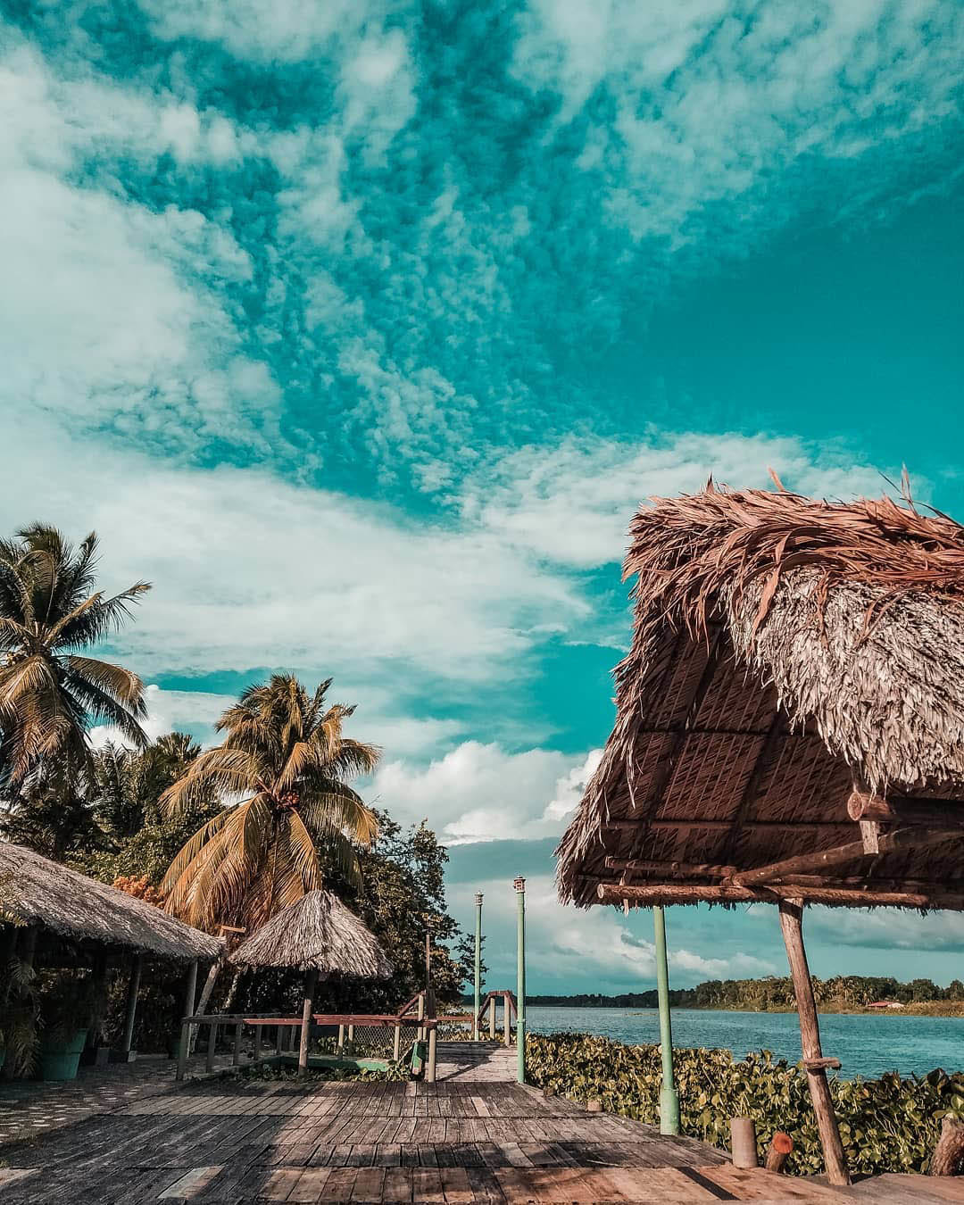 Тур в Национальный Парк Дельта Ориноко, Венесуэла