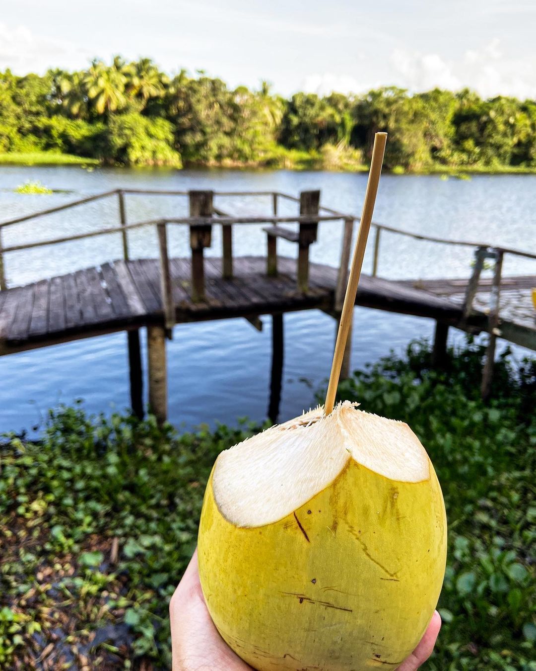 Тур в Национальный Парк Дельта Ориноко, Венесуэла