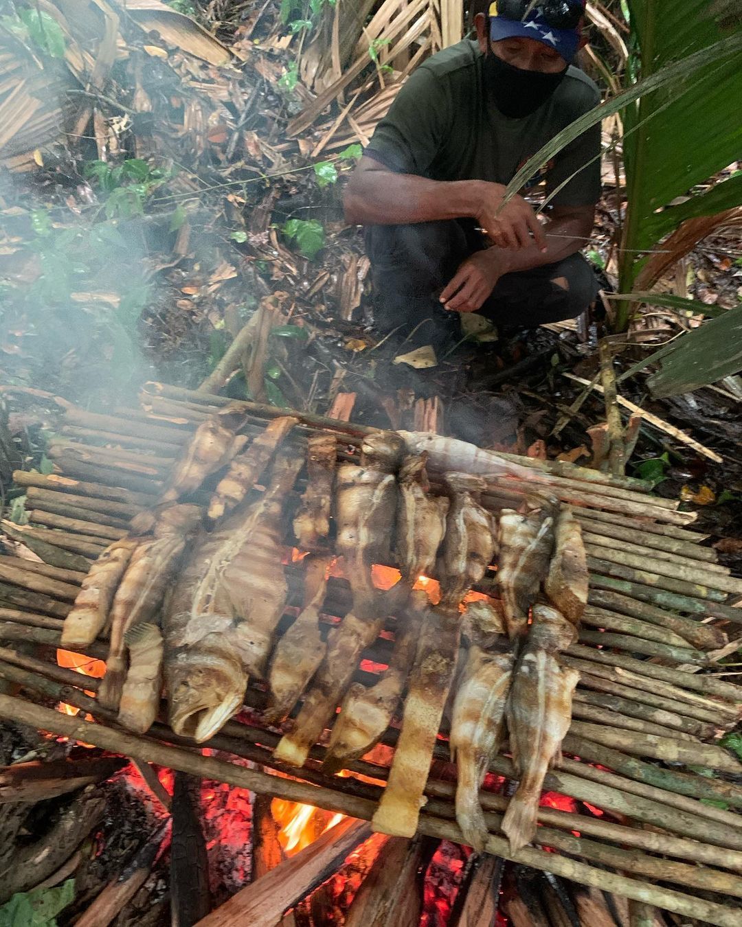 Тур в Национальный Парк Дельта Ориноко, Венесуэла