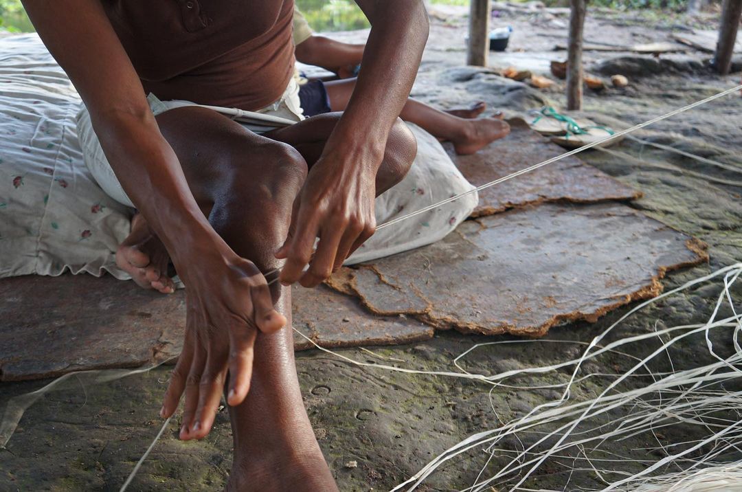 Тур в Национальный Парк Дельта Ориноко, Венесуэла
