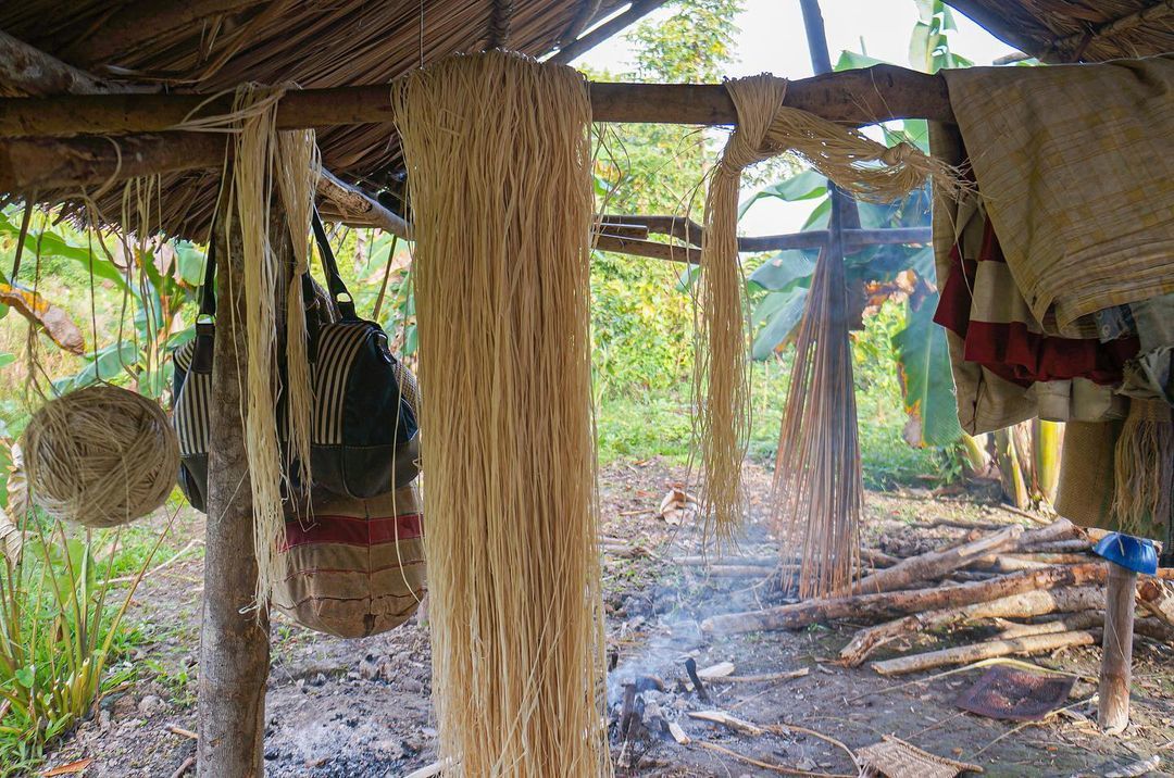 Тур в Национальный Парк Дельта Ориноко, Венесуэла
