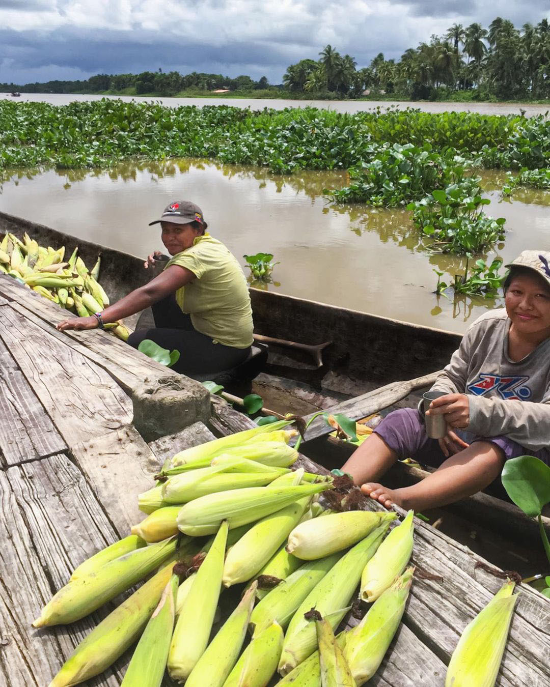 Тур в Национальный Парк Дельта Ориноко, Венесуэла