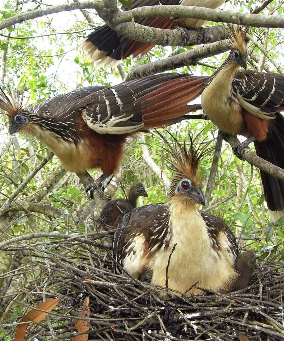Большой Тур по Венесуэле