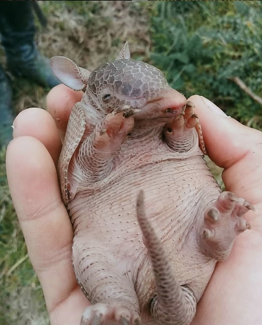 Большой Тур по Венесуэле