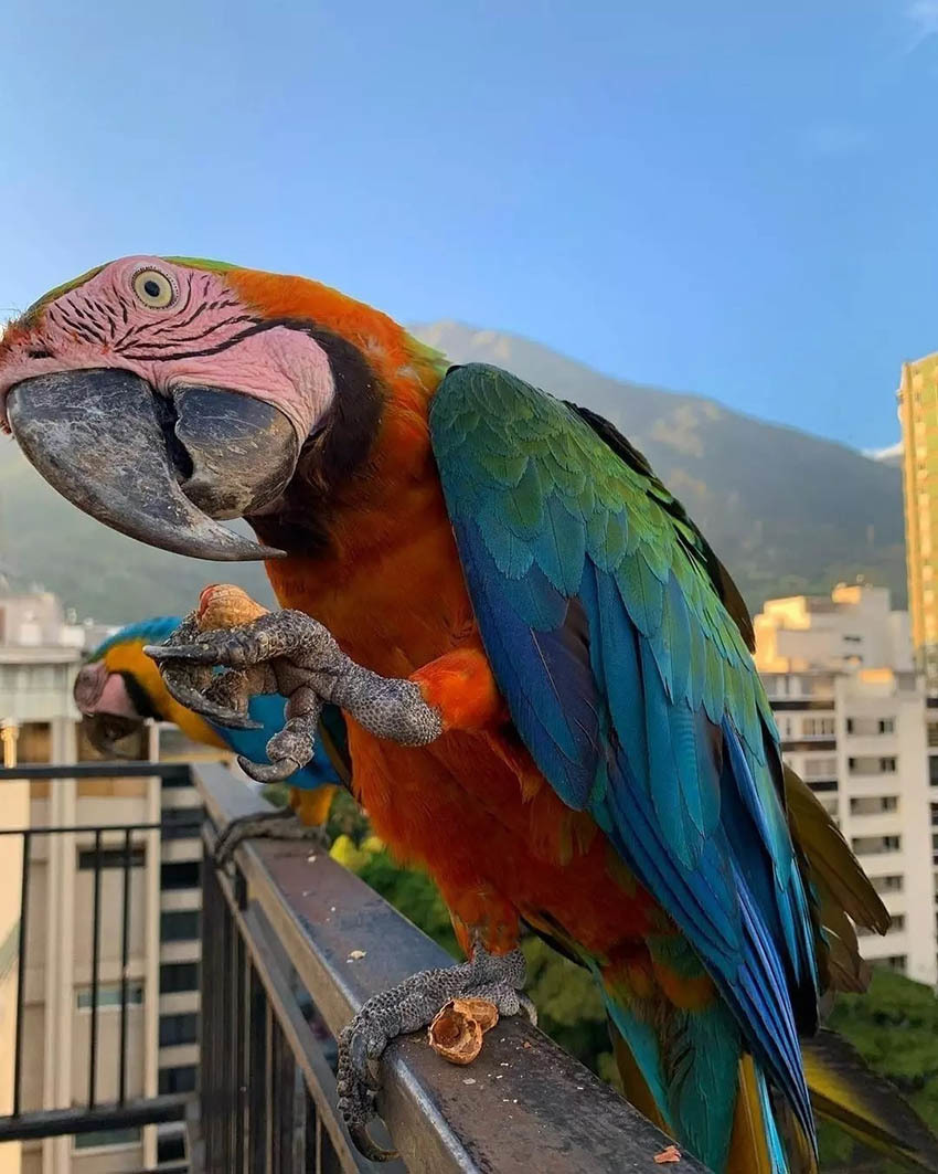 Большой Тур по Венесуэле